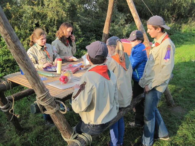 Scouts 3